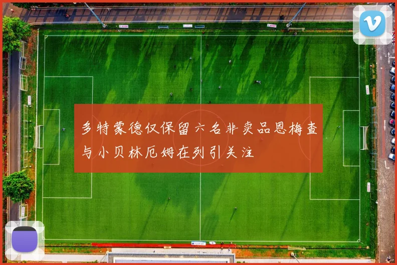 多特蒙德仅保留六名非卖品恩梅查与小贝林厄姆在列引关注