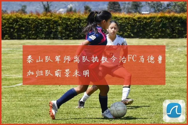 泰山队军师离队执教今治FC马德鲁加归队前景未明