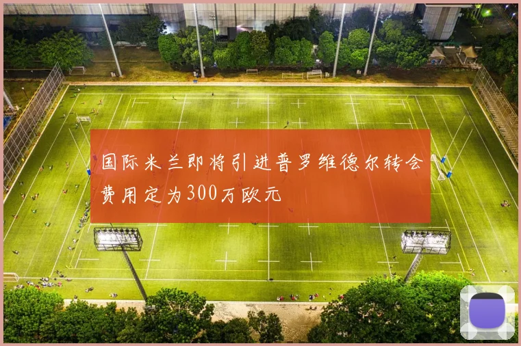 国际米兰即将引进普罗维德尔转会费用定为300万欧元