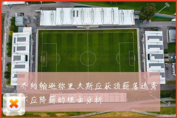 乔约翰逊称里夫斯应获顶薪落选秀不应降薪的理由分析