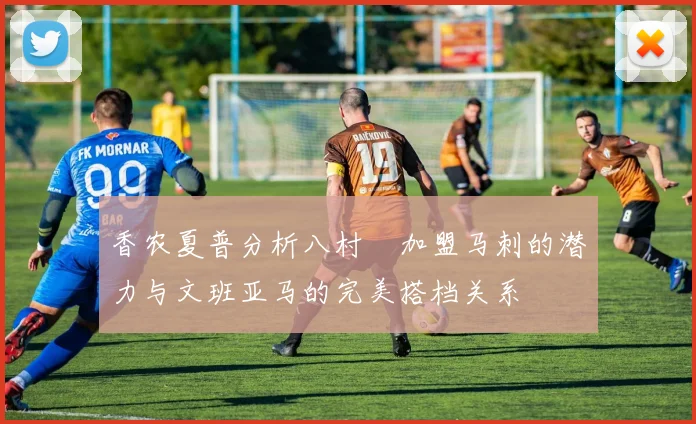 香农夏普分析八村塁加盟马刺的潜力与文班亚马的完美搭档关系